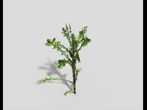 लो पॉली प्लांट 3D मॉडल
