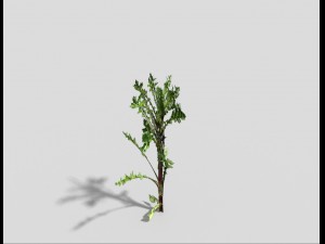 low poly plant Modelo 3D