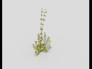 low poly plant 3D Model