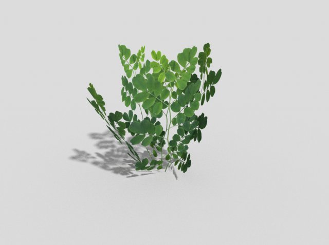low poly plant Modelo 3D .c4d .max .obj .3ds .fbx .stl .blend 