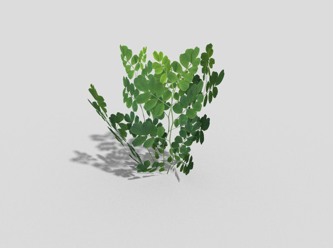 low poly plant 3D Model .c4d .max .obj .3ds .fbx .stl .blend 