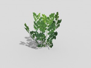 low poly plant Modèle 3D