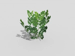 लो पॉली प्लांट 3D मॉडल