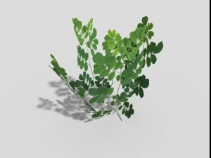low poly plant 3D Model