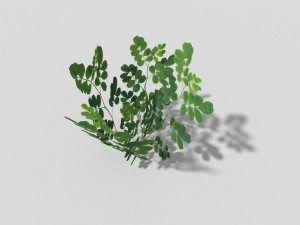 low poly plant Modelo 3D