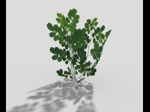 low poly plant Modelo 3D