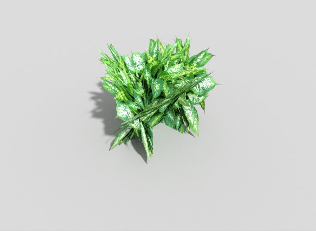 low poly plant 3D Модель .c4d .max .obj .3ds .fbx .stl .blend 