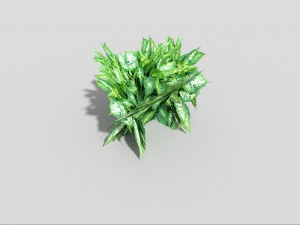 low poly plant Modèle 3D