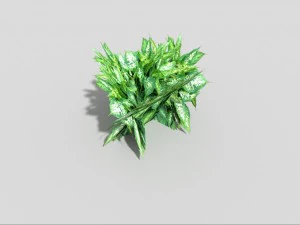 낮은 폴리 식물 3D 모델