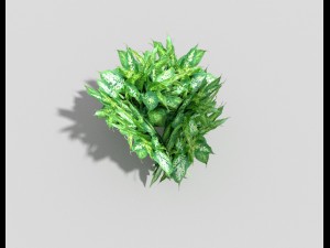 low poly plant 3D Модель