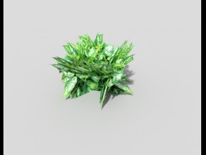 low poly plant 3D Модель