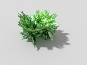 low poly plant 3D Модель