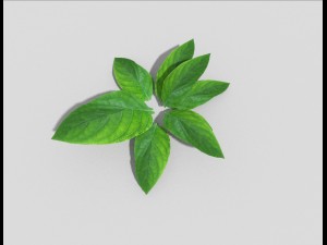 low poly plant Modèle 3D