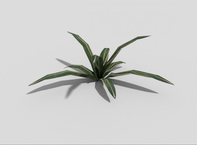 low poly plant Modèle 3D .c4d .max .obj .3ds .fbx .stl .blend 