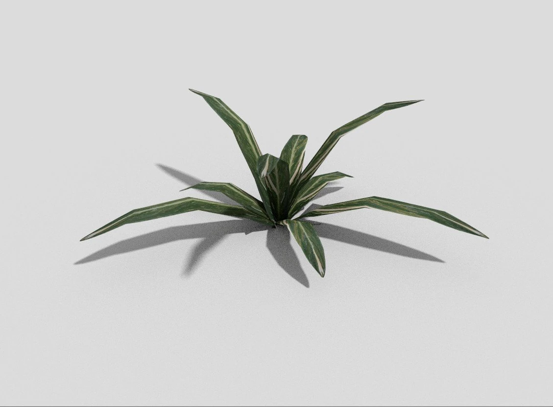 low poly plant 3D Model .c4d .max .obj .3ds .fbx .stl .blend 