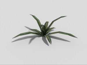 low poly plant 3D Model