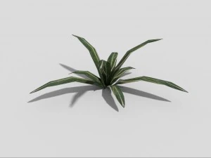 低聚植物 3D 模型