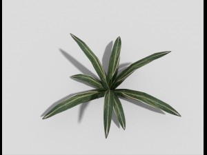 low poly plant Modèle 3D
