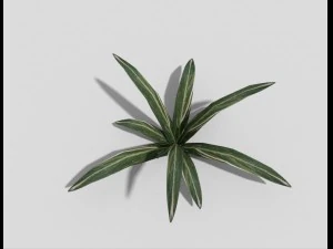low poly plant 3D Model