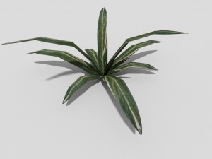 low poly plant Modèle 3D