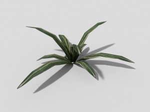 low poly plant Modèle 3D
