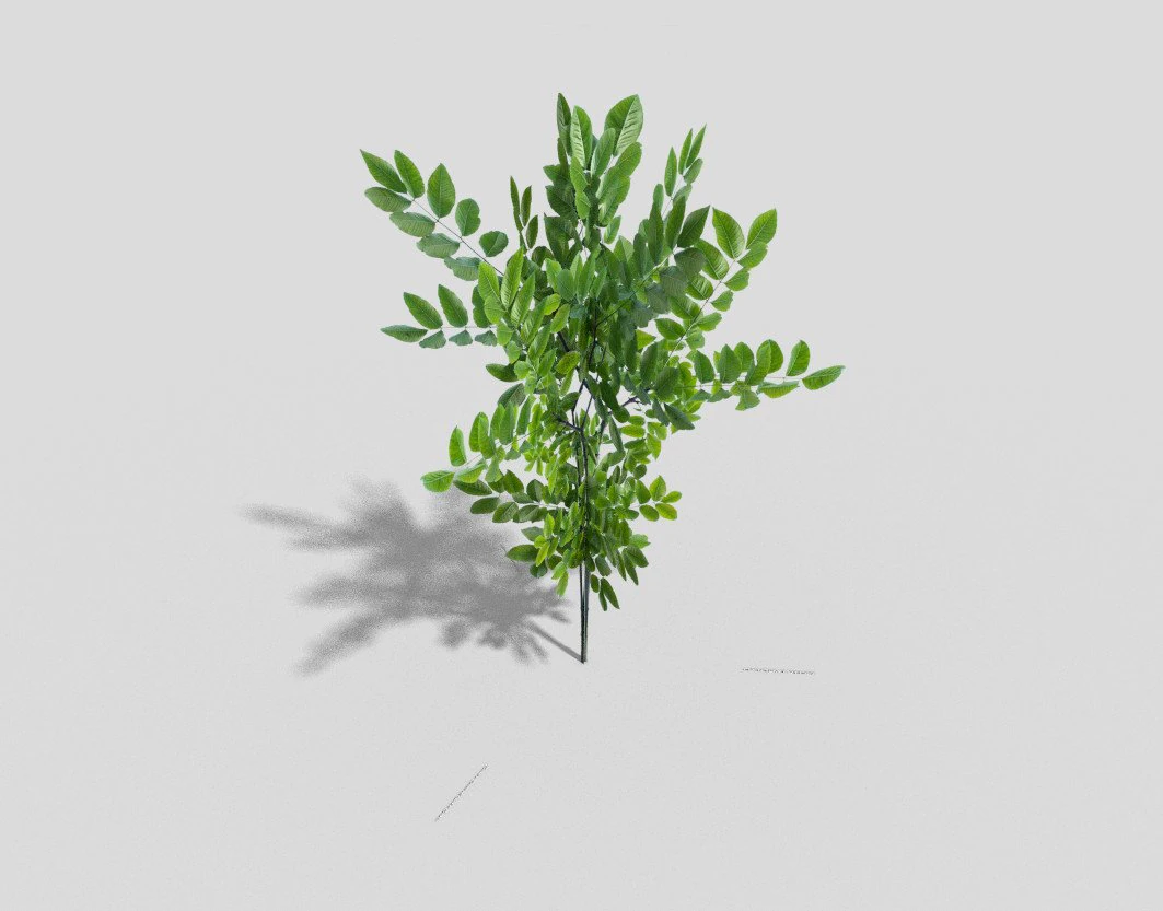 low poly shrub 3D Model .c4d .max .obj .3ds .fbx .stl .blend 