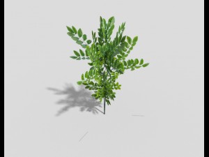 low poly shrub Modèle 3D