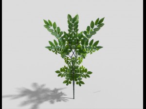 low poly shrub 3D 模型