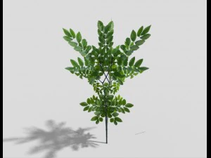 low poly shrub 3D Model