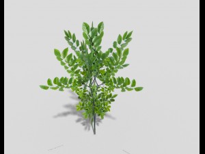 low poly shrub 3D 模型