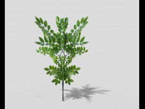 low poly shrub 3D Model