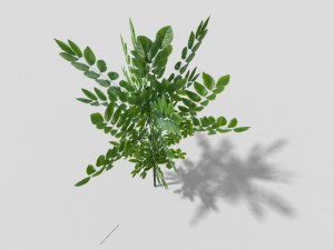 low poly shrub 3D 模型