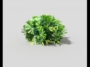 low poly shrub 3Dモデル