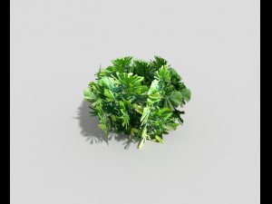 low poly shrub Model 3D