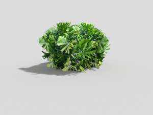 low poly shrub Model 3D