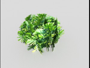 low poly shrub Model 3D