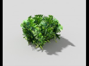 low poly shrub Model 3D