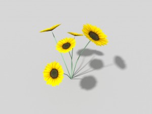 low poly flower 3D-Modell