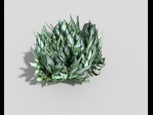 low poly plant Modèle 3D