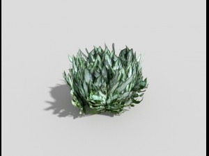 low poly plant 3D Model