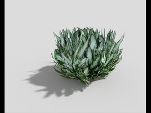 low poly plant 3D Model