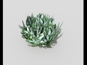 low poly plant 3D Model