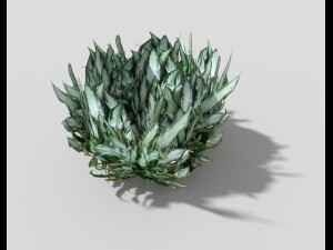 low poly plant 3D Model