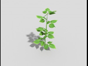 low poly plant Modèle 3D