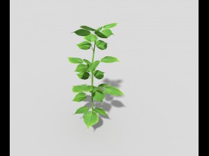 low poly plant Modello 3D