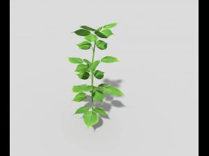 planta de baixo poli Modelo 3D