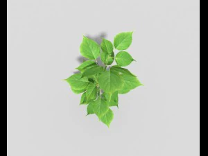 planta de baixo poli Modelo 3D