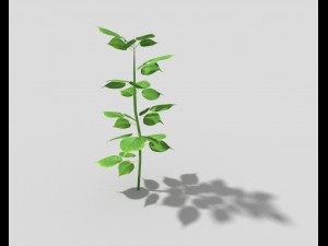 low poly plant Modello 3D