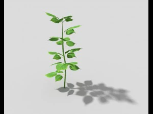 planta de baixo poli Modelo 3D