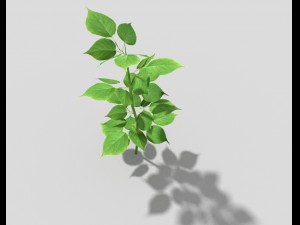low poly plant Modello 3D